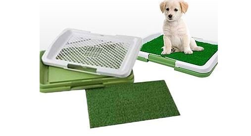 Dzīvnieku tualete - zāliens